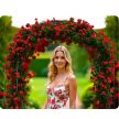 Plonos PL-990 Kerti pergola ív 240 cm (499000)