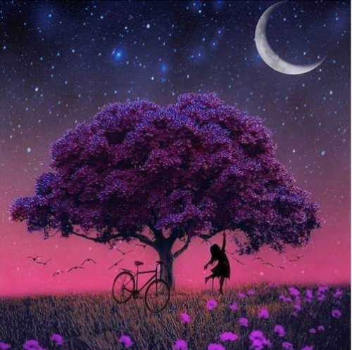 Gyémánt mozaik hímzés H16137