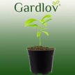 Gardlov kertészeti műanyag ültető cserép - 500 darabos készlet 20846