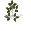Gardlov Műlevelek 47 cm - 12 darabos készlet 22557