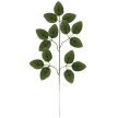 Gardlov Műlevelek 47 cm - 12 darabos készlet 22557