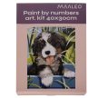 Maaleo Festmény számok szerint 40x30 cm kutya 22780