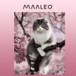 Maaleo Festés számok szerint 40x50 cm macska 22783
