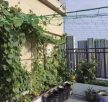 Gardlov növényfuttató háló támasz 2x20m 23980