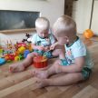 Kruzzel Fa eper játék 22411