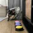  Purlov beszélő nyomógombok kutyáknak 24615