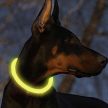 Purlov LED-es lámpás nyakörv állítható 24200