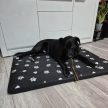 Purlov XXL Kutyaágy 100x70cm fekete -  fehér tappancs mintával 24862