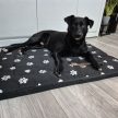 Purlov XXL Kutyaágy 100x70cm fekete -  fehér tappancs mintával 24862