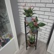Ruhhy Álló virágtartó 80 cm 25627
