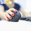 Izoxis 26628 wireless vertical mouse