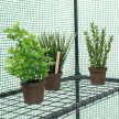 Fóliasátor üvegház polcokkal 135g/m² zöld 195x140x140 cm 10018889
