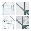 Bejáratos üvegház fóliasátor polcokkal és 4 ablakkal zöld 190x140x140 cm 10023332