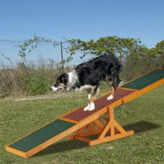 Kutya agility hinta 10023710 