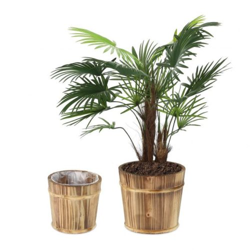 Rusztikus virágcserép lucfa 2 db -os szett 19 és 24 cm 10037605