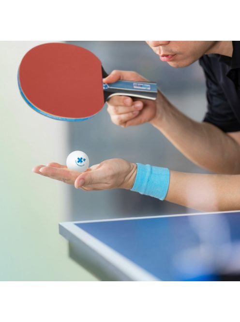 Ping-pong ütő asztalitenisz szett hálóval 10039450