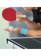 Mini összecsukható beltéri ping-pong asztal tartozékokkal fekete 70x70x150 cm 10039453