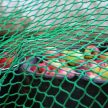 Utánfutó háló rakományrögzítéshez zöld 3 x 4 m