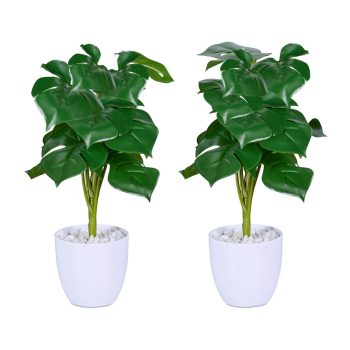 Monstera művirág 2 db-os készlet 10045558