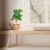Monstera művirág 2 db-os készlet 10045558