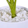 Monstera művirág 2 db-os készlet 10045558