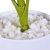 Monstera művirág 2 db-os készlet 10045558