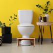 Bambusz WC lábtartó zsámoly 18,5x44,5x26 cm 10047487