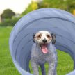 Agility kutya játszóalagút 2 m összecsukható szürke 10048910