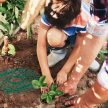 Eperpalánta tartó érlelőrács 10 darabos készlet 10049182
