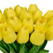 Tulipánok művirág 24 darabos készletben sárga 10050345_48