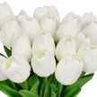 Tulipánok művirág 24 darabos készletben fehér 10050345_49
