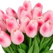 Tulipánok művirág 24 darabos készletben pink 10050345_52