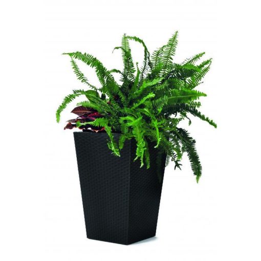 Keter Rattan planter "S" műanyag virágtartó - grafit 228978