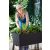 Keter Easy grow polyrattan virágláda - barna 230297