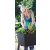 Keter Easy grow polyrattan virágláda - grafit 230298
