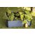 Keter Maple square grey magaságyás - szürke 249298