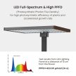 Beltéri Smart Garden hidroponikus termesztő LED világítás barna 65424